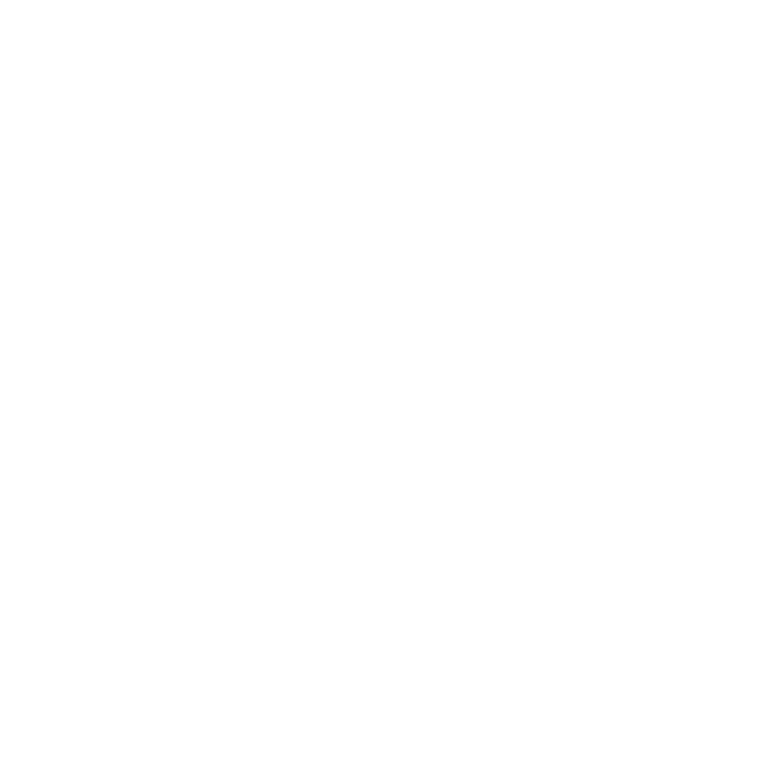 SpaceX (1)